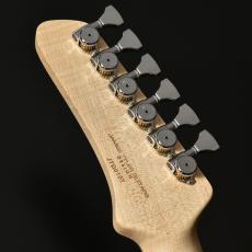 STR GUITARS STR JTG Design HH BEB/ASH_7