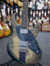 STR GUITARS STR JTG Design HH BEB/ASH_9