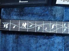 Ibanez VISIONS IV1RG -Amber-【Made In Japan】【受注生産品】【48回金利0%対象】_5