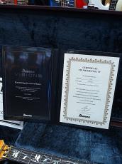 Ibanez VISIONS IV1RG -Amber-【Made In Japan】【受注生産品】【48回金利0%対象】_11