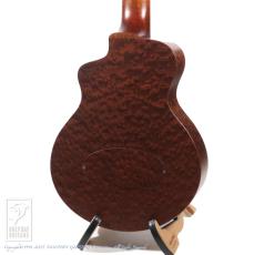 Dolphin Guitars Baby Dolphin QM_4