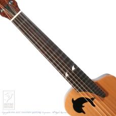 Dolphin Guitars Baby Dolphin QM_5