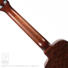 Dolphin Guitars Baby Dolphin QM_6