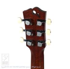 Dolphin Guitars Baby Dolphin QM_8