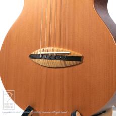 Dolphin Guitars Baby Dolphin QM_10