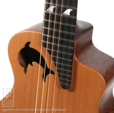 Dolphin Guitars Baby Dolphin QM_11