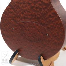 Dolphin Guitars Baby Dolphin QM_13