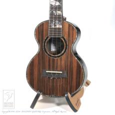 WATER ROAD GUITARS Dolphin Guitars 25th Anniversary Concert Ukulele