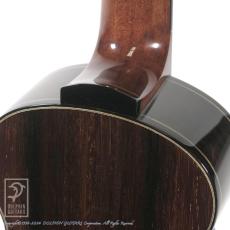 WATER ROAD GUITARS Dolphin Guitars 25th Anniversary Concert Ukulele_11