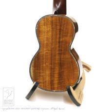 HIDAKA GUITARS S5-K_4