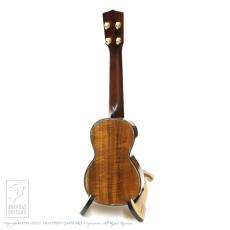 HIDAKA GUITARS S5-K_5