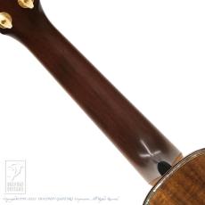 HIDAKA GUITARS S5-K_9