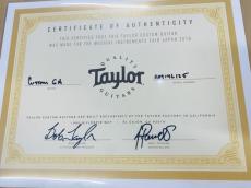 Taylor 【2016 Japan Show Model】CTM GA Brazilian Rosewood 【アディロンダックスプルース×ハカランダ】_12