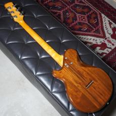 Gretsch 1980 MODEL8217 BST-1500 "Beast"_4