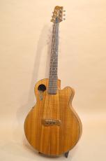 TACOMA C5C　2001年製_4