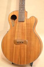 TACOMA C5C　2001年製_5