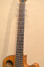 TACOMA C5C　2001年製_6