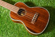 DCT DUC-150K Concert