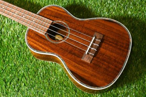 DCT DUC-150K Concert