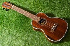 DCT DUC-150K Concert_2