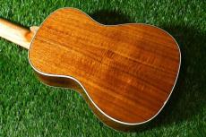 DCT DUC-150K Concert_3