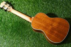 DCT DUC-150K Concert_4