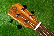 DCT DUC-150K Concert_5