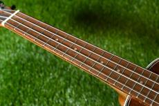 DCT DUC-150K Concert_7