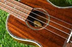 DCT DUC-150K Concert_9