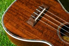 DCT DUC-150K Concert_10