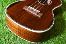 DCT DUC-150K Concert_11