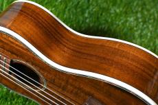 DCT DUC-150K Concert_13