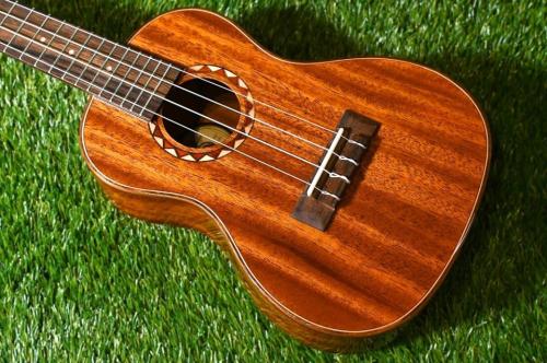 DCT DUC-600M Concert