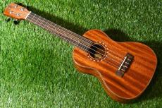 DCT DUC-600M Concert_2