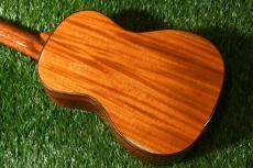 DCT DUC-600M Concert_3