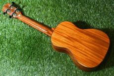 DCT DUC-600M Concert_4