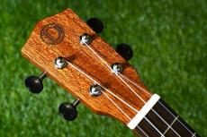 DCT DUC-600M Concert_5