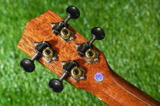 DCT DUC-600M Concert_6