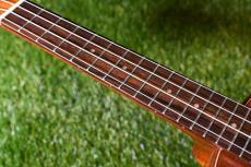 DCT DUC-600M Concert_7