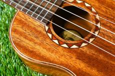 DCT DUC-600M Concert_9