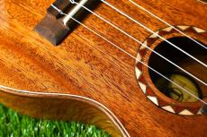 DCT DUC-600M Concert_10