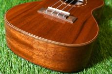 DCT DUC-600M Concert_11