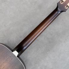 IRIS GUITAR COMPANY The DF Model Adirondack Spruce Tobacco Burst_8