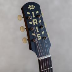 IRIS GUITAR COMPANY The DF Model Adirondack Spruce Tobacco Burst_9