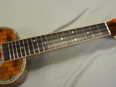 Kawakami CK-5NP【アキオオリジナル】_3