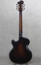 Victor Baker Guitars Model 14 Chambered Semi Hollow_4