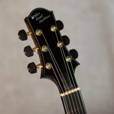 Water Road Guitars D-23 Jacaranda Sunburst _9