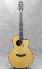 aNueNue aNN-LS770E_2