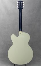 KING SNAKE Lester Black Bellied Yellow_4