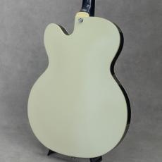 KING SNAKE Lester Black Bellied Yellow_6